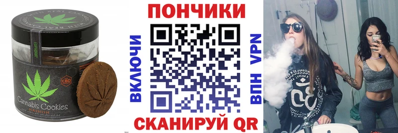 закладки  Кизляр  OMG как войти  Печенье с ТГК марихуана 