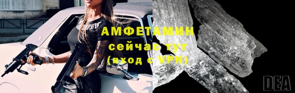 гидра Весьегонск