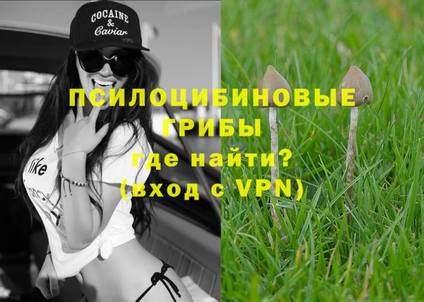 apvp Зеленокумск