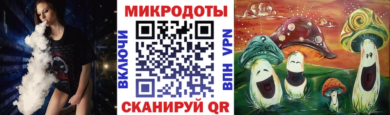 Галлюциногенные грибы Psilocybine cubensis  Кизляр 
