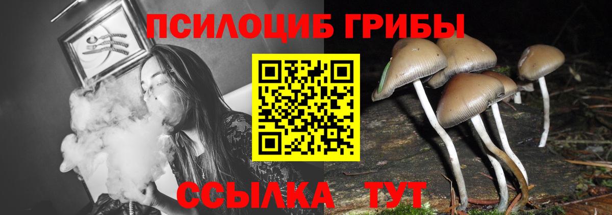 Галлюциногенные грибы MAGIC MUSHROOMS  Вход с VPN  хочу   Кизляр 